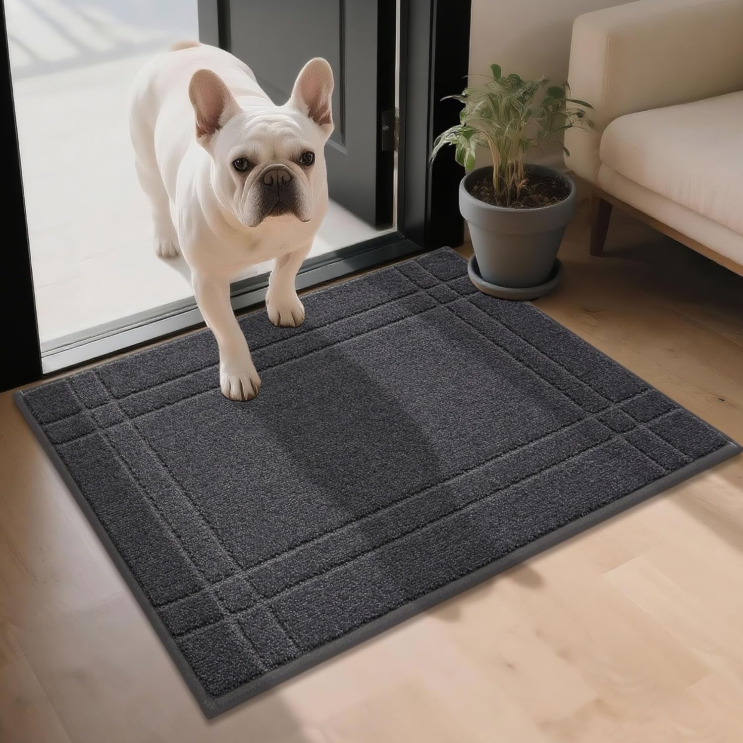 Entryway Rugs Doormat 24"X36", Non-Slip Dirt Trapper Door Mats Indoor, Washable Absorbent and Stain Resist Welcome Floor Mat for Front Door, Dog Door Mat, Muddy Wet Shoes & Paws, Dark Grey