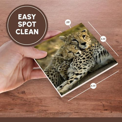 Cheetah with cub ceramic tile coasters, set of four, view 4