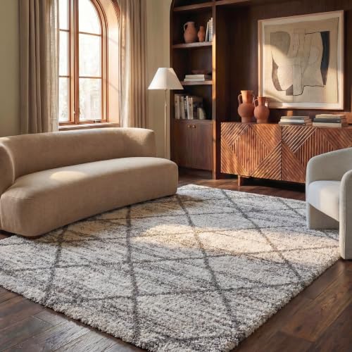 SAFAVIEH Hudson Shag Collection Area Rug - 9' x 12', Grey & Beige, Modern Trellis Design, Non-Shedding & Easy Care, 2-inch Thick Ideal for High Traffic Areas in Living Room, Bedroom (SGH281J)