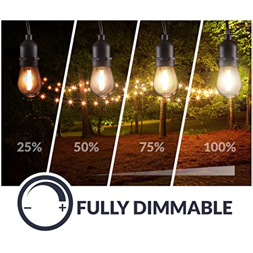 LED String Lights with Weatherproof Technology, Dimmable with Wireless Remote Control, 48ft and 16 (15+1 Free) LED Light Bulbs Included, Black (CSTRINGLEDDIM)