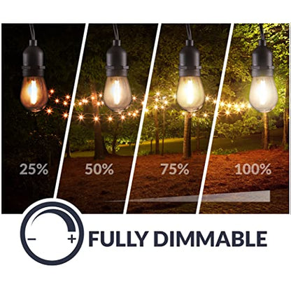 LED String Lights with Weatherproof Technology, Dimmable with Wireless Remote Control, 48ft and 16 (15+1 Free) LED Light Bulbs Included, Black (CSTRINGLEDDIM)