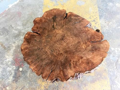 Unique Live Edge Crosscuts Epoxy Resin Coffee Table, 30 x 30 Inches, Customizable Color