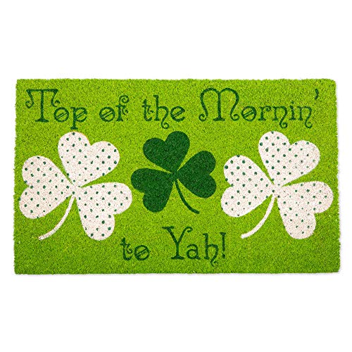 Indoor/Outdoor Natural Coir Fiber Spring/Summer Doormat, 17x29, Top of The Mornin' to Yah!