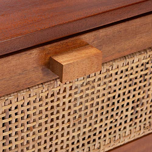SAFAVIEH Home Collection Erica Rattan 2-Drawer Nightstand, Natural/Black