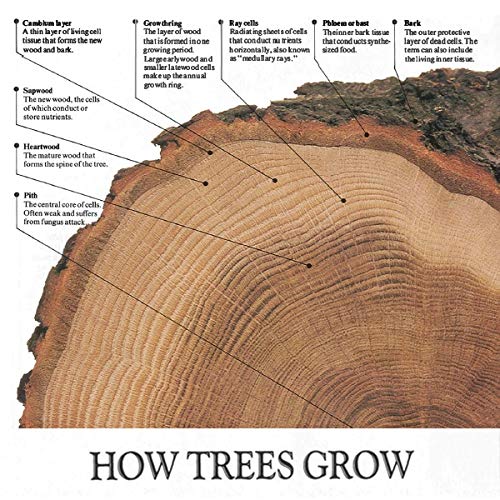 The Complete Manual of Woodworking book, view 3