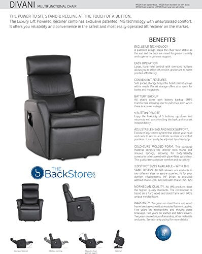Divani IMG Motorized Power Swing Glider Relaxer Recliner Chair in Large in Trend Sand Leather