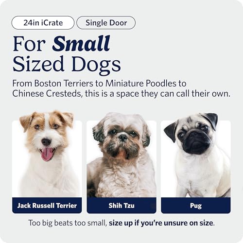 Midwest 24-Inch Single Door iCrate, for Small Breeds, 12-20 lbs, view 3