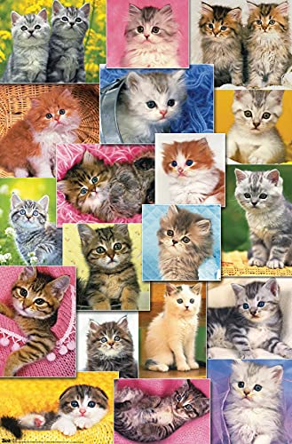 Keith Kimberlin - Kittens Collage Wall Poster, 22.375" x 34", Premium Unframed Version