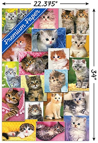 Keith Kimberlin - Kittens Collage Wall Poster, 22.375" x 34", Premium Unframed Version
