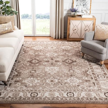 SAFAVIEH Area Rug 8x10 - Vintage Hamadan Collection - Large - Taupe, Traditional Persian Design, Non-Shedding & Easy to Clean, Ideal for Living Room, Bedroom, Dining Space (VTH214T)