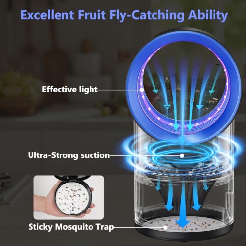 Fruit Fly Traps for Indoors, Blue Gnat Trap Indoor with Suction & Timer, view 3