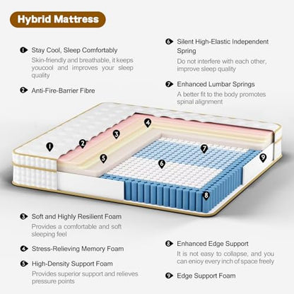 Queen Mattress,12 Inch Queen Size Mattresses in a Box,Medium Firm Queen Hybrid Mattress,with Memory Foam and Individual Pocket Spring for Motion Isolation & Silent Sleep&& Pressure Relief，80" x 60"