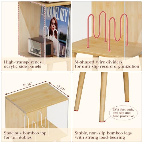 Vinyl Record Storage with Acrylic Side Panels, view 5