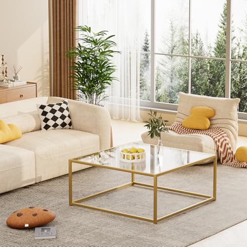 Glass Coffee Table, Small Square Coffee Table for Living Room,Simple Modern Center Tables for Small Spaces, Gold Living Room Tea Tables Easy Assembly,26 * 26in（Gold & Clear Glass）