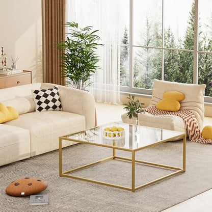 Glass Coffee Table, Small Square Coffee Table for Living Room,Simple Modern Center Tables for Small Spaces, Gold Living Room Tea Tables Easy Assembly,26 * 26in（Gold & Clear Glass）