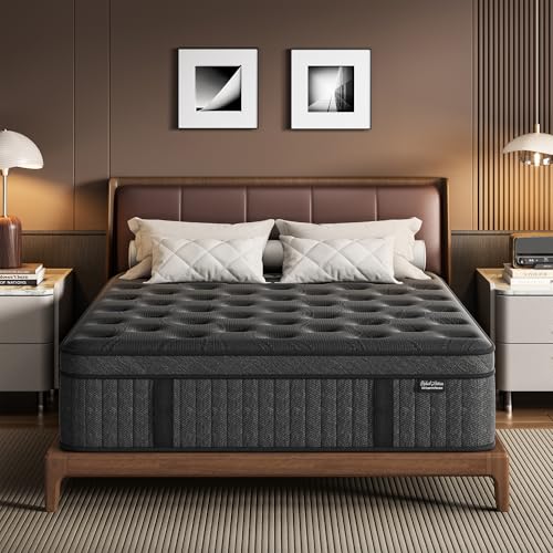 Queen Mattress, 14 Inch Springs Matress, Bed in a Box, Soft and Breathable, Pressure Relief & Motion Isolation, Medium Firm Feel