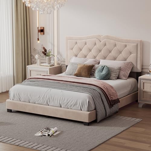 Queen Size Upholstered Bed Frame with Rivet Design, view 2