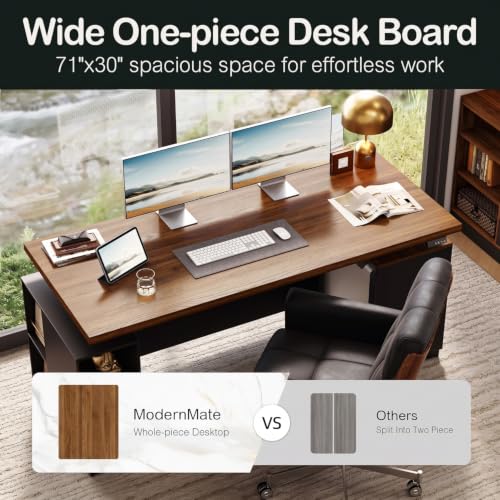 71" Executive Standing Desk with Privacy Panel, Black Walnut, view 6