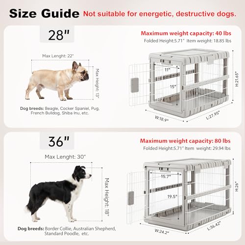 Collapsible Dog Crate for Large Dogs, view 4