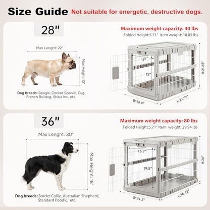 Collapsible Dog Crate for Large Dogs, view 4