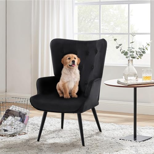 Accent Chairs Set of 2, Black Velvet Reading Armchairs with High Backrest, Wingback Corner Chairs - Mid Century Modern for Living Room, Bedroom, Waiting Room