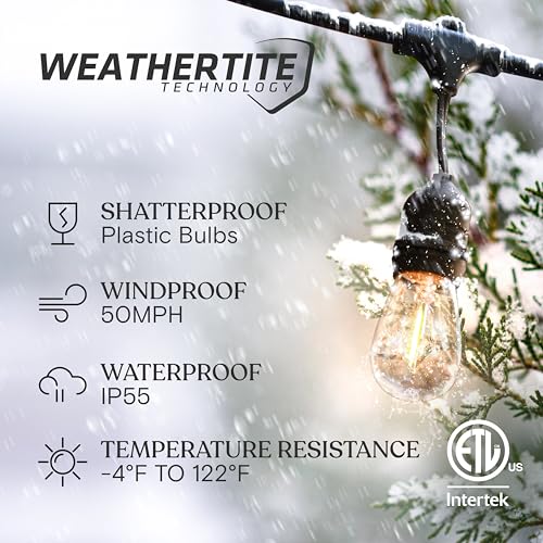 Ambience Pro, Waterproof LED Outdoor String Lights, 15 Hanging, view 3