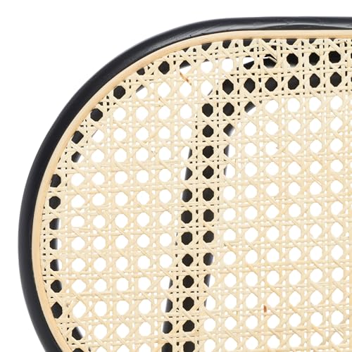 SAFAVIEH Couture Collection Kristianna Tropical Coastal Black/Natural Rattan Round Back Chair Set of 2