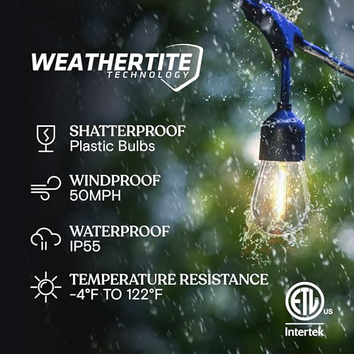 Ambience Pro Solar Powered Outdoor String Lights, 48 ft Commercial Grade Waterproof Patio Lights, Shatterproof LED String Lights for Outside, Porch - 15 Edison Bulbs, 1W Warm White