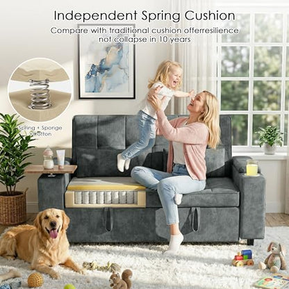 65in Sleeper Sofa Bed, 3 in 1 Pull Out Couch with Chenille Fabric Convertible Loveseat for LivingRoom and Apartment (Darkgrey)