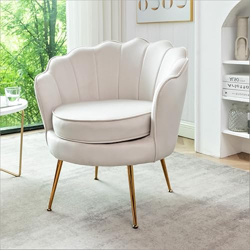 Velvet Barrel Accent Chair with Scalloped Silhouette and Gold Metal Legs, Decorative Piece Suitable for Traditional, Modern, and Contemporary Spaces, Ivory