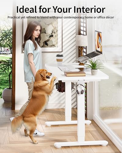 Standing Desk Electric Adjustable Computer Desk-Stand up Desk Office Gaming, view 7