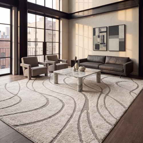 SAFAVIEH Florida Shag Rug 9'x12', Soft Plush Cream & Beige SG471-1113, view 3