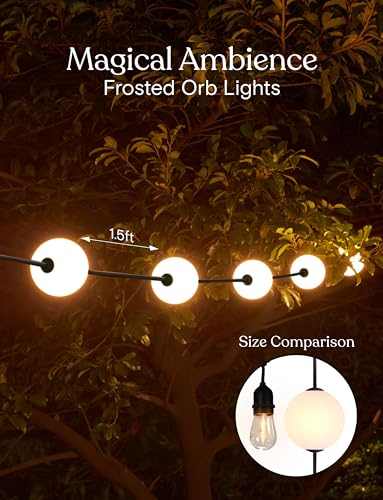 Orb Outdoor Indoor String Lights - Frosted Lantern LED String with 10 Weatherproof Globe Lights - Plug in Commercial Grade Light Strand for Patio, Porch, Garden, Café - 30 Ft, Black