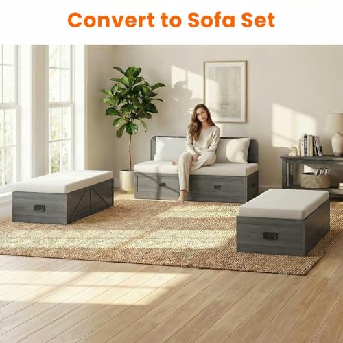 4-in-1 Queen Murphy Bed with Mattress Included & Extra Large Drawers, Multifunctional Cabinet Bed that Converts to Sofa Set for Small Spaces/Guest Bedroom/Living Room, Grey