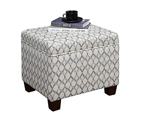 Madison Storage Ottoman 21.75" - Modern Upholstered Footstool & Seat with Hinged Lid for Transitional Living Room, Bedroom, Hallway, & Entryway, Ribbon Pattern Fabric