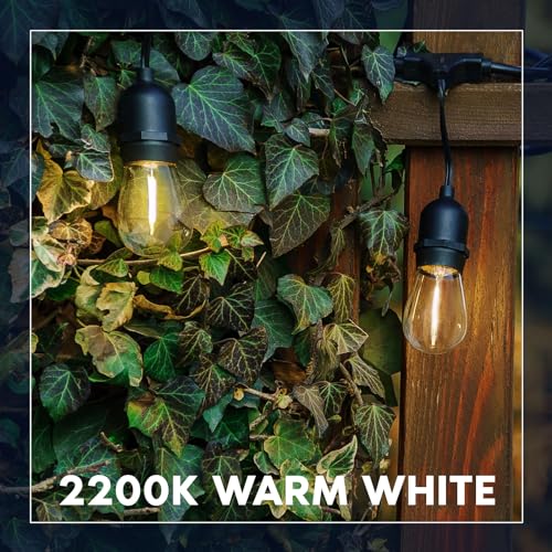 24FT LED Outdoor String Lights, Commercial Grade Waterproof, 12 Edison S14 Shatterproof Bulbs, IP65, Decorative Hanging for Patio, Backyard, Garden, Cafe, Balcony