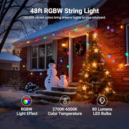 48ft Outdoor String Lights, view 3