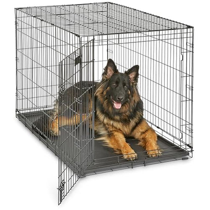 Midwest 48-Inch Single Door iCrate, for Extra-Large Breeds, 90-110 lbs, view 2