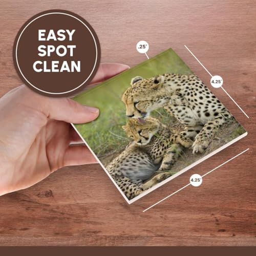 Cheetah photo ceramic tile coasters, set of 8, view 4