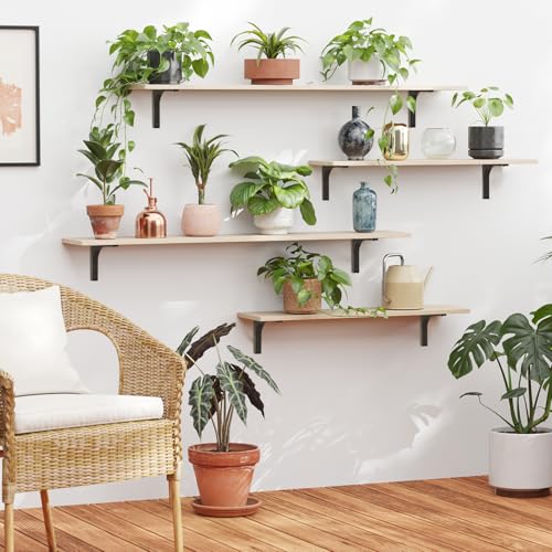 Long Wall Shelves, 31.5 Inch Wall Mounted Shelves Set of 2, Easy-to-Install, Floating Storage Ledges with Sturdy Metal Brackets for Living Room, Bathroom, Bedroom, Kitchen, Natural
