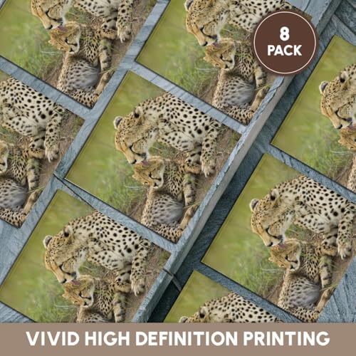 Cheetah photo ceramic tile coasters, set of 8, view 8