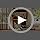 31'' Wooden Dog Crate Furniture with Storage Shelf & 4 Hooks, view 8