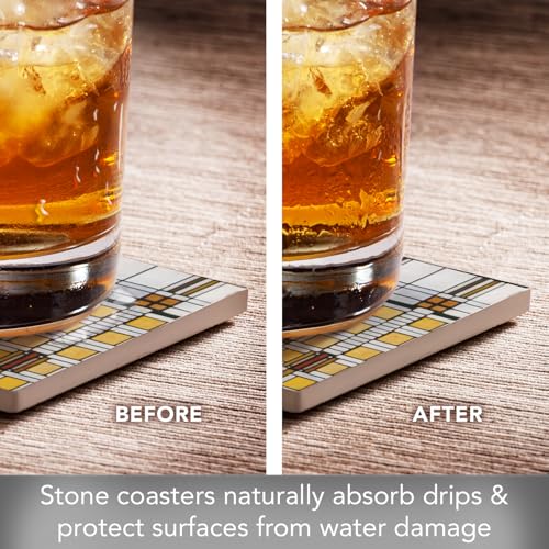 Frank Lloyd Wright's Assorted Art Glass Collection Designs on 4 Pack Assorted Stone Coasters with Protective Cork Backing Manufactured in the USA Absorbent Easily Wipes Clean