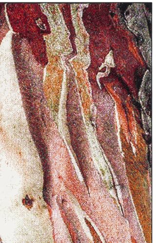 SAFAVIEH Glacier Collection Area Rug - 5'3" x 7'6", Red & Multi, Modern Abstract Design, Non-Shedding & Easy Care, Ideal for High Traffic Areas in Living Room, Bedroom (GLA126A)