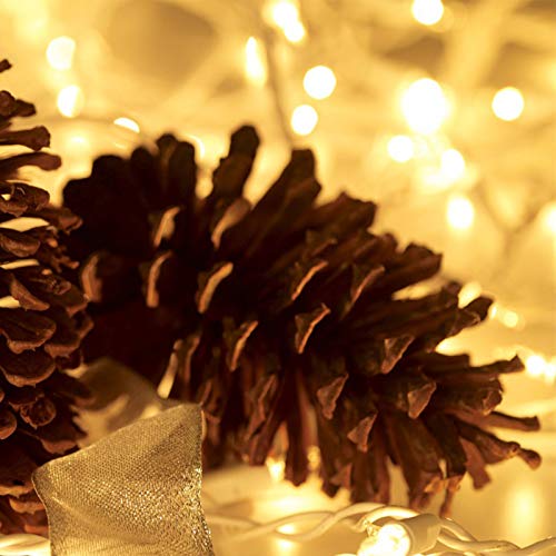 Christmas Lights 100 Count Mini Clear Lights 21ft White Wire Christmas Tree String Lights Set for Outdoor Indoor Christmas Decorations Wedding Valentines Day Decor,UL Certified (21feet)