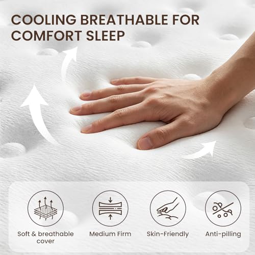 Queen Mattress 12 Inch, Medium Firm Feel, Queen Size Mattresses in Box, Individually Pocket Coils for Motion Isolation, Cooling & Comfortable Sleep with Gel Foam, CertiPUR-US Certified