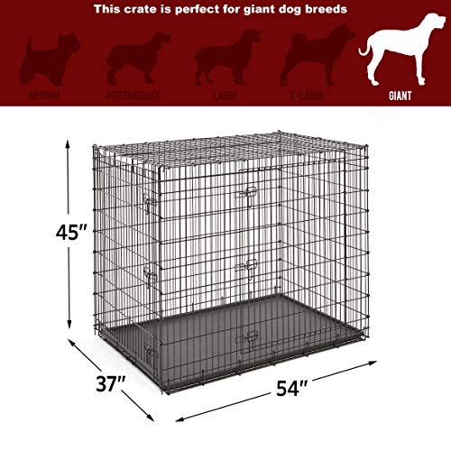 Solutions by Midwest 54-Inch Double Door Crate, Giant Breed Dogs, 100+ lbs, view 7