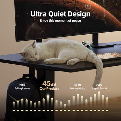 Electric Standing Desk, Adjustable Height Stand up Desks, 48 x 24 Inches Sit Stand up Desk for Home Office Computing, 3-Preset Memory Height Ergonomic Rising Desks, Black