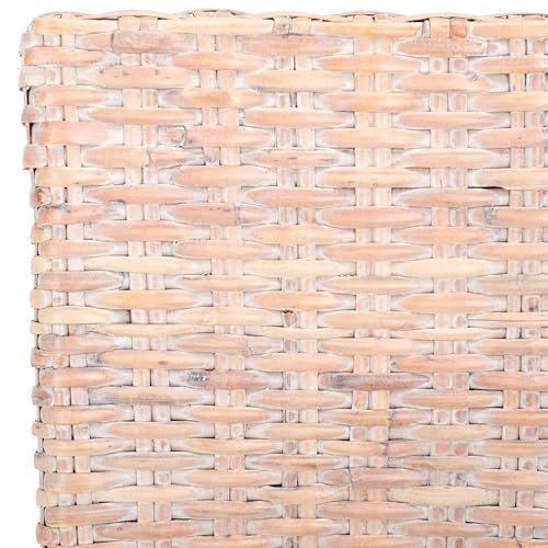 SAFAVIEH Furniture - Pembrooke Side Chair Set of 2-20' Seat Height - White-Washed - Mango Wood - Coastal Rattan Design - Ideal for Dining Room - Fully Assembled (FOX6520C-SET2)