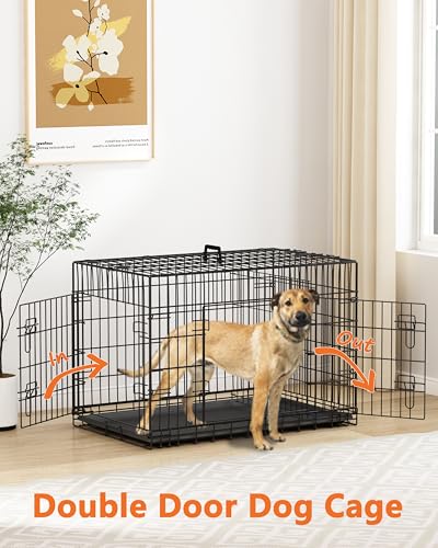 24 Inch Double Door Small Dog Crate with Divider Panel and Leak- Proof Pan Tray, view 4